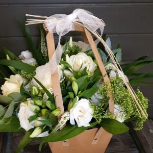 בוקה לבן בתיק