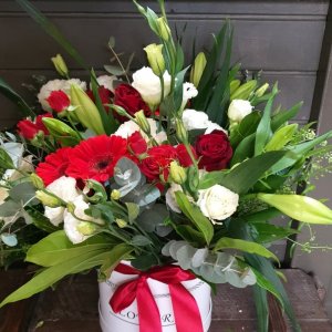 בוקה אדום בפלאוור בוקס