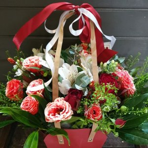 בוקה אדום בתיק