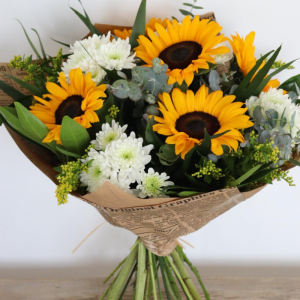 חמניות וחרציות בלבן