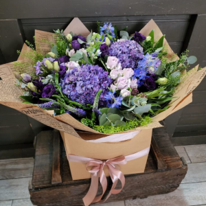 בוקס גולד סגול