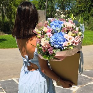 איזבל ורוד ותכלת