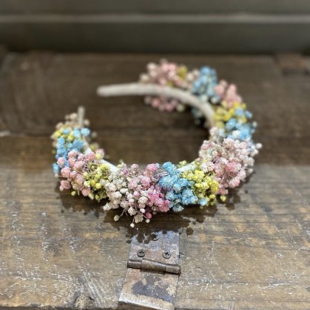 כתר גבסניות צבעוני