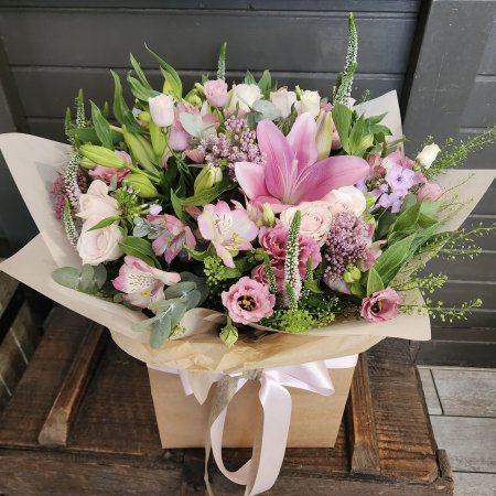 מיני בוקס גולד בורוד