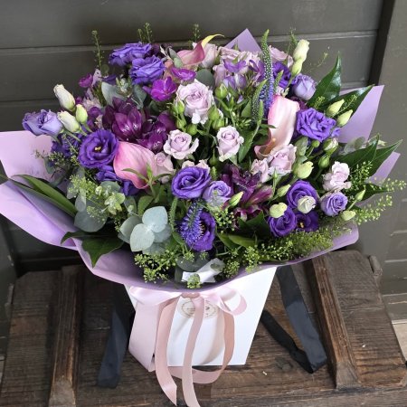 איזבל ענק בסגולים