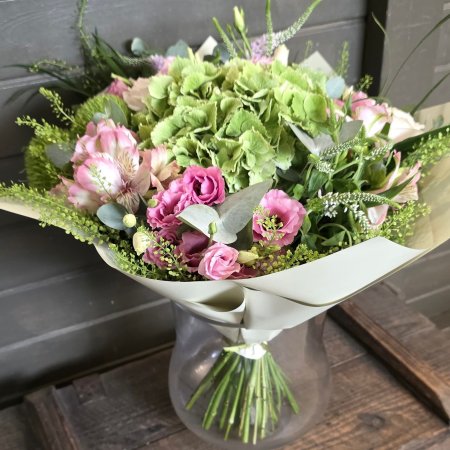 זר הורטנסיה בירוק